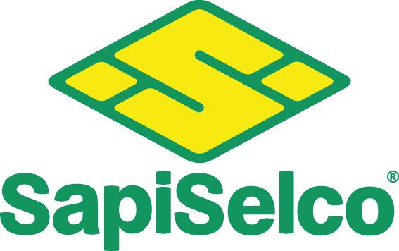 SAPISELCO Kabelbinder Nylon schwarz 200x2,5mm a100Stück mit Stahlnase